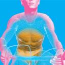 Exercising your core