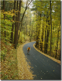 biker on road amid fall foliage
