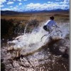 What’s the most versatile style of bike? mountainbikingacrossacreek_thumb.jpg