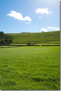 peak district field by swh