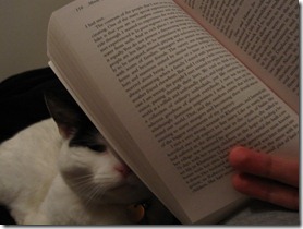 Cats not to happy with the book