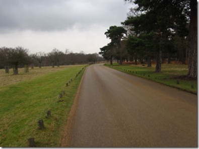 Cycling-around-Richmond-Park