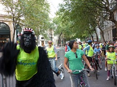 skyride-gorilla