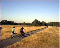 double the number of cyclists - cycling through richmond park