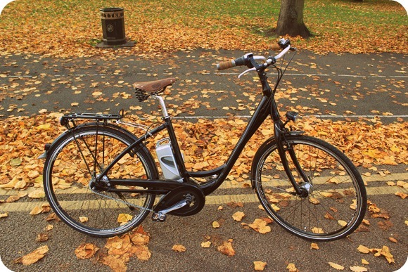 Autumn leaves as we head into the winter (eBike: Spencer & Ivy)