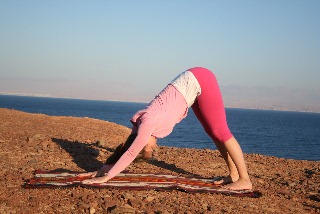 Down Dog Adho mukha svanasana