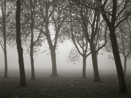 foggy-regents-park