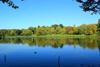 hampsted-heath-lake