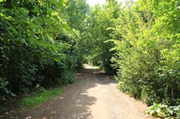 thames-path-spring-green