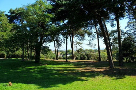 Hampstead heath views