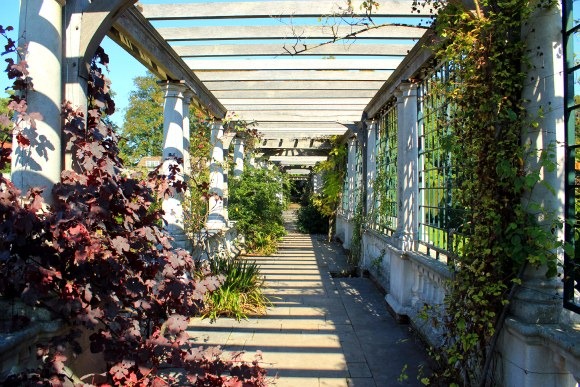 Hampstead Pergola with trees and bushes overgrowing on all corners