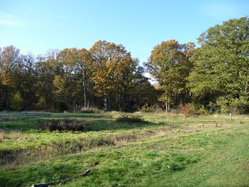 Hainault forest county park is good for mountain biking if you are in London