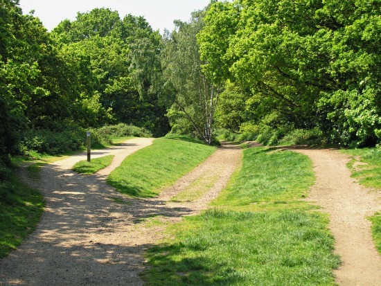 Tibbets Ride photo of green route
