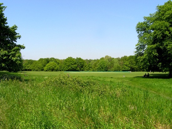 View along the tibbets ride