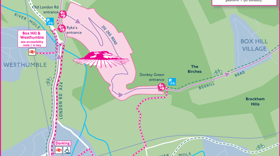 Map of box hill section of the Olympic Road Race