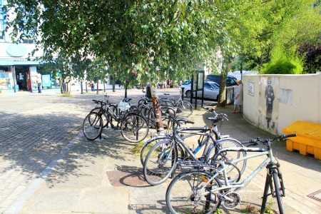 Cycle link