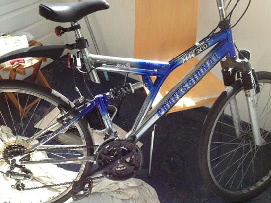Professional bike