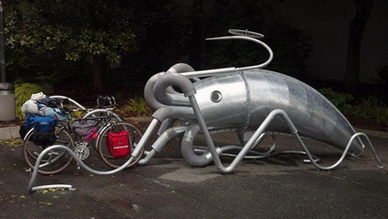 giant-squid-rack
