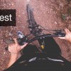 Mountain biking in Devon’s Haldon Forest Haldon Forest MTB